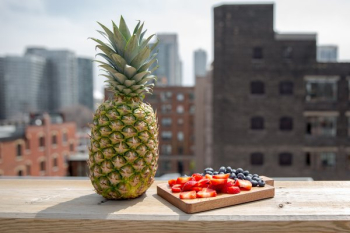 Summer Fruit Summer Fruit