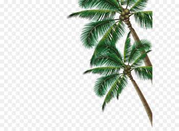 Summer Poster Beach - coconut tree Summer Poster Beach - coconut tree