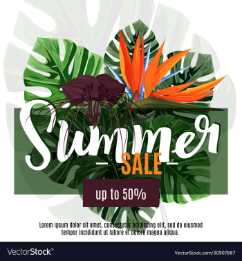 summer sale design template tropical exotic