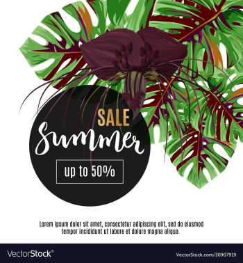 summer sale design template tropical exotic