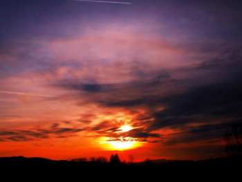 sun collr.jpg sun collr.jpg