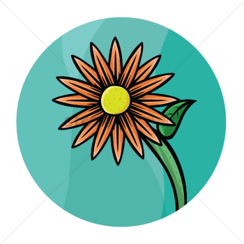 Sunflower Sunflower
