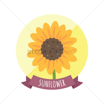 Sunflower Sunflower