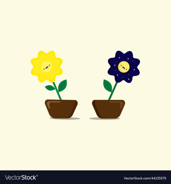 sunflower and moon flower style flower sunflower and moon flower style flower