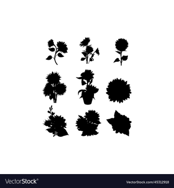 sunflower blossom creative design sunflower blossom creative design