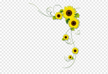 sunflower border, Common sunflower, sunflower, flower Arranging, sunflower, sunflower Seed png