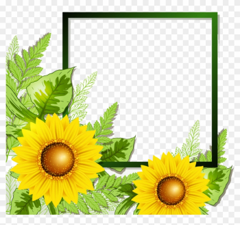 Sunflower Border - Sun Flower Frame Png Sunflower Border - Sun Flower Frame Png