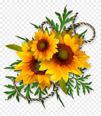 Sunflower Corner Border Clipart Download - Common Sunflower