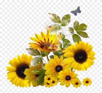 Sunflower Corner Border Clipart Download - Sunflower