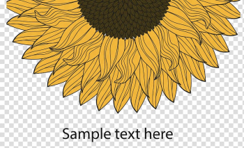 Sunflower illustration, Beer Grainworks Brewing Company Brewery Printing, Sunflower transparent background PNG clipart