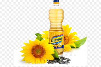 Sunflower oil Organic food Common sunflower Sunflower seed ...