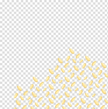 Sunflower seed Melon Egusi, Flaxseed melon seeds transparent background PNG clipart Sunflower seed Melon Egusi, Flaxseed melon seeds transparent background PNG clipart