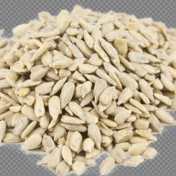Sunflower Seeds PNG Photo Sunflower Seeds PNG Photo