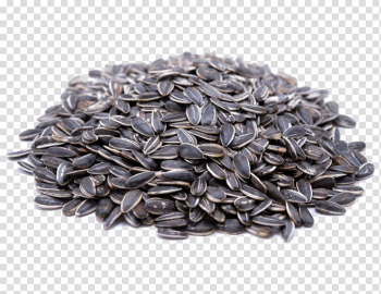 Sunflower Seeds Transparent Image Sunflower Seeds Transparent Image
