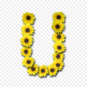 Sunflowers Instagram Letter Tagged - sunflower Sunflowers Instagram Letter Tagged - sunflower