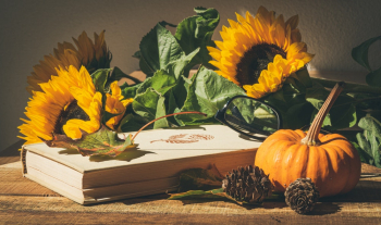 Sunflowers on Book Sunflowers on Book