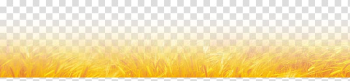 Sunlight Energy Sky Yellow , Wheat field transparent background PNG clipart Sunlight Energy Sky Yellow , Wheat field transparent background PNG clipart
