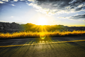 Sunrise in the South Dakatoa Badlands.  Love of the sun lights up the foliage along the side of the road.  Almost looks like it's on fire.  
