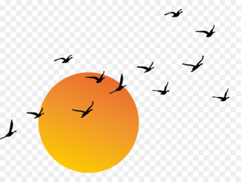 Sunset Euclidean vector - Vector sunset 