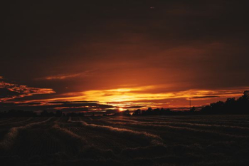 sunset scene sunset scene