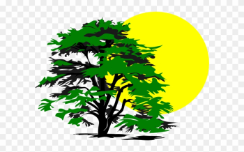 Sunshine Clipart Tree - Tree And Sun Clip Art