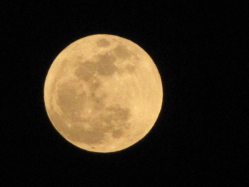 super moon 002.JPG super moon 002.JPG