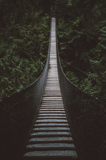 Suspension bridge.