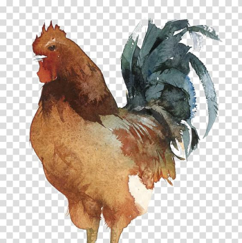Sussex chicken Wyandotte chicken Leghorn chicken Brahma chicken Rooster, cock transparent background PNG clipart