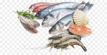 Sustainable seafood Fish processing Salmon - fish Sustainable seafood Fish processing Salmon - fish