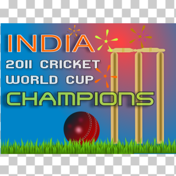 SVG 2011 cricket world cup winner