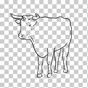 SVG A bull SVG A bull