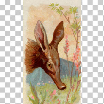 SVG Aardvark SVG Aardvark