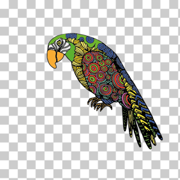 SVG Abstract parrot SVG Abstract parrot
