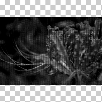 SVG Abstract plant in black and white SVG Abstract plant in black and white