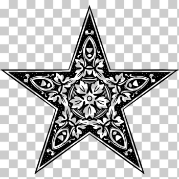 SVG Abstract star SVG Abstract star