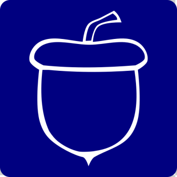 SVG Acorn Icon SVG Acorn Icon