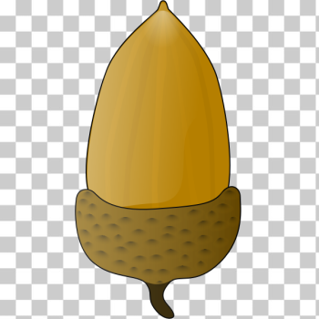 SVG Acorn vector illustration SVG Acorn vector illustration