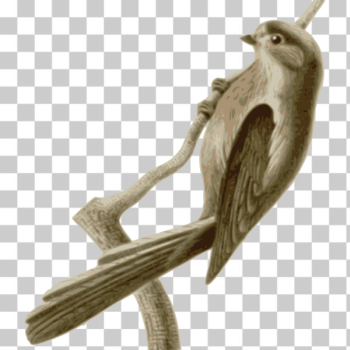 SVG Aegithaloscaudatusvinaceus SVG Aegithaloscaudatusvinaceus