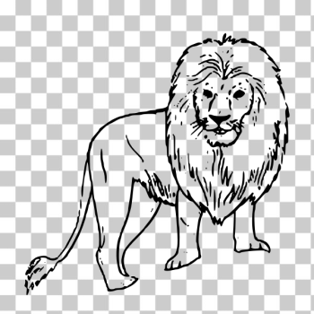 SVG African lion vector line art