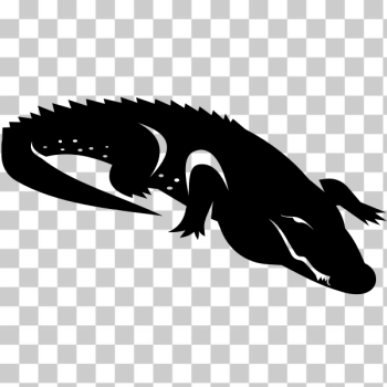 SVG Alligator silhouette SVG Alligator silhouette