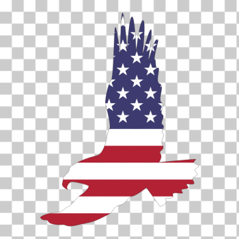 SVG American Eagle SVG American Eagle