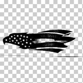 SVG American eagle SVG American eagle