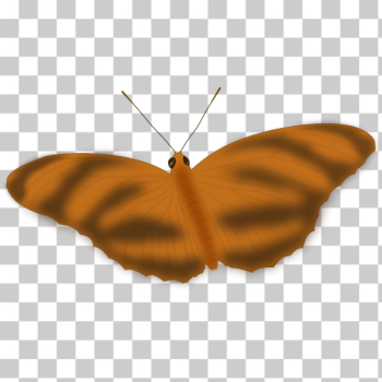 SVG An Ethereal Butterfly SVG An Ethereal Butterfly