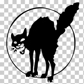 SVG Anarchist black cat SVG Anarchist black cat
