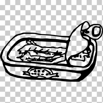 SVG Anchovy in can SVG Anchovy in can