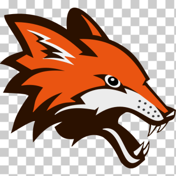 SVG Angry orange fox vector illustration SVG Angry orange fox vector illustration