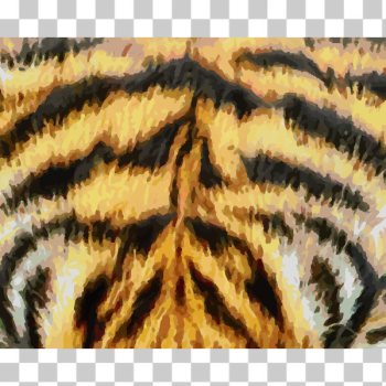 SVG Animal Fur SVG Animal Fur
