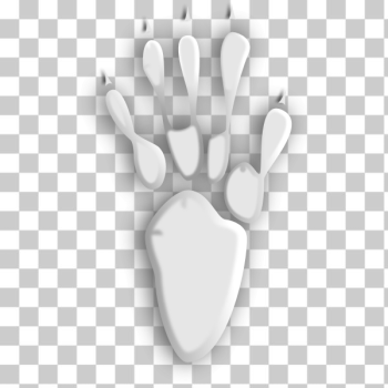 SVG Animal tracks silhouette SVG Animal tracks silhouette