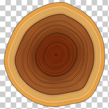 SVG Annual Rings SVG Annual Rings