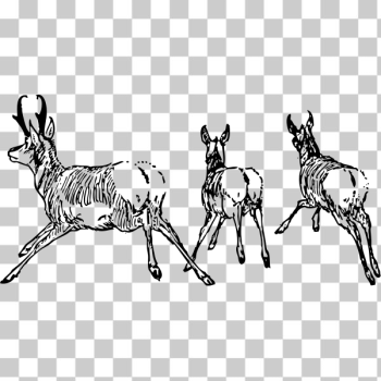 SVG antelope going away SVG antelope going away